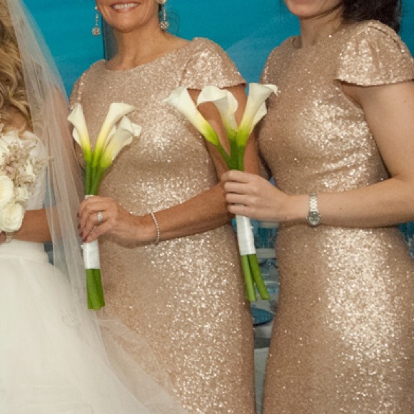 Sold- SORELLA VITA 8718 Rose Gold Sequin Dress - Picture 5 of 8